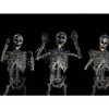 WindowFX - Animated Halloween / Christmas Scene Projector