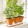 Windowsill Herb Garden Pots Adjust to Three Heights