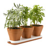 Windowsill Herb Garden Pots Adjust to Three Heights