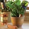 Wine Bottle Plant Nanny Watering Stakes
