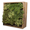 Wine Crate Vertical Garden