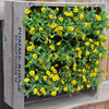 Wine Crate Vertical Garden