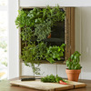 Wine Crate Vertical Wall Garden