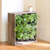 Wine Crate Vertical Wall Garden