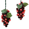 Wine Grape Lights