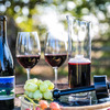 Wine Squirrel - Wine Preserving Decanter - Preserves Wine For Weeks!