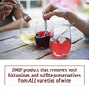 Wine Wand - Removes Histamines and Sulfite Preservatives