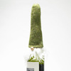 Wispy Beard Santa Wine Toppers