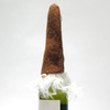 Wispy Beard Santa Wine Toppers