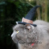 Witch Hat For Cats