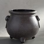 Witch's Cauldron