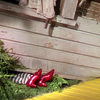 Wizard of Oz Wicked Witch of the East Leg Lamp