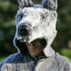 Wolf Coat