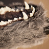 Wolf Coat