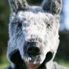 Wolf Coat