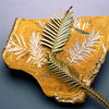 Wollemi Pine - 200 Million Year Old Plant Species