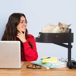 Wooden Desktop Cat Bed