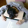 Workaholic Desk Pillow Book