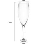 World's Largest Giant Wine Glass