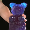 World's Largest Gummy Bear - Five Pounds!
