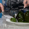 World's Largest Gummy Bear - Five Pounds!