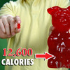 World's Largest Gummy Bear - Five Pounds!