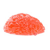 World's Largest Gummy Brain