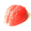World's Largest Gummy Brain