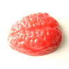 World's Largest Gummy Brain