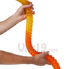 World's Largest Gummy Worm