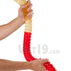 World's Largest Gummy Worm