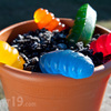 World's Largest Gummy Worm