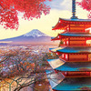 The World's Largest Jigsaw Puzzle - 51,300 Pieces and Nearly 30 Feet Long!