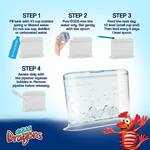 World's Smallest Aqua Dragons - Tiny Living Aquatic Pets