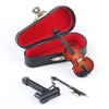 The World's Smallest Violin