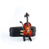The World's Smallest Violin