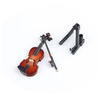 The World's Smallest Violin