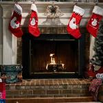 Yankee Candle Balsam and Cedar Scented Firelogs