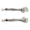 Zombie Back Scratcher