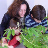 Zombie Plant - Touch It and It Plays Dead!