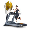 Zone Dome Treadmill Projector
