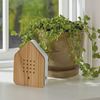 Zwitscherbox - Plays Relaxing Bird Songs When It Detects Motion