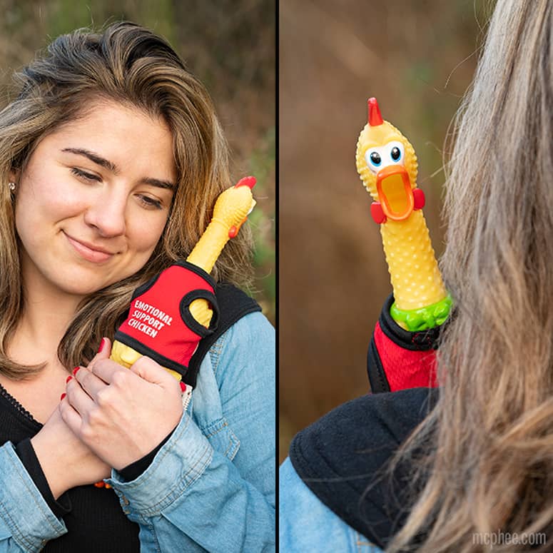 Emotional Support Rubber Chicken The Green Head