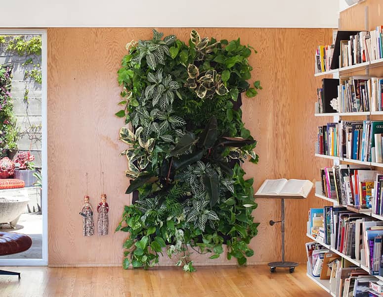 Living Plant Wall Hanging Plant Pockets The Green Head