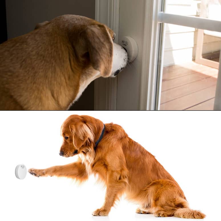 Mighty Paw Smart Bell 2.0 Wireless Dog Doorbell The Green Head