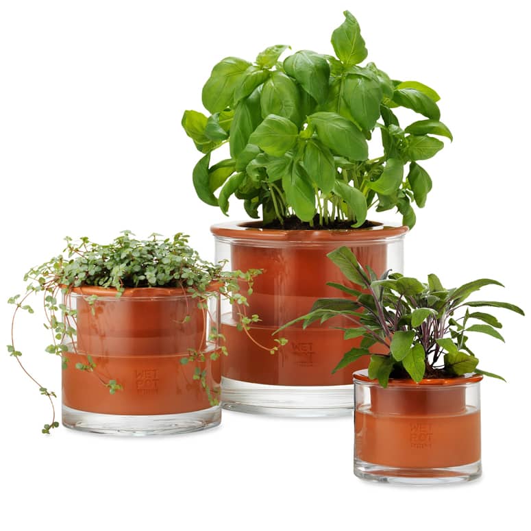 Wet Pots SelfWatering Terracotta Pots The Green Head