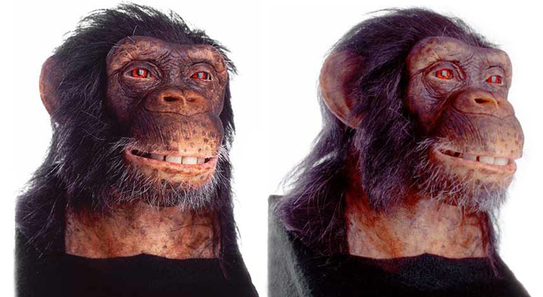 Alive Chimpanzee by WowWee - Animatronic Life-Size Bust with Video