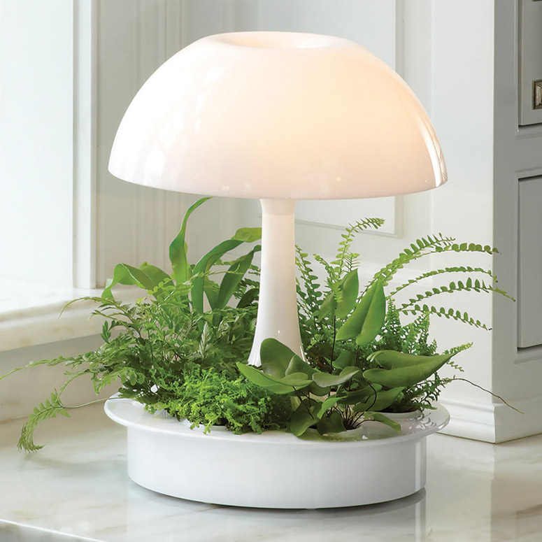 Ambienta Living Table Lamp, Grow Light Table Lamp