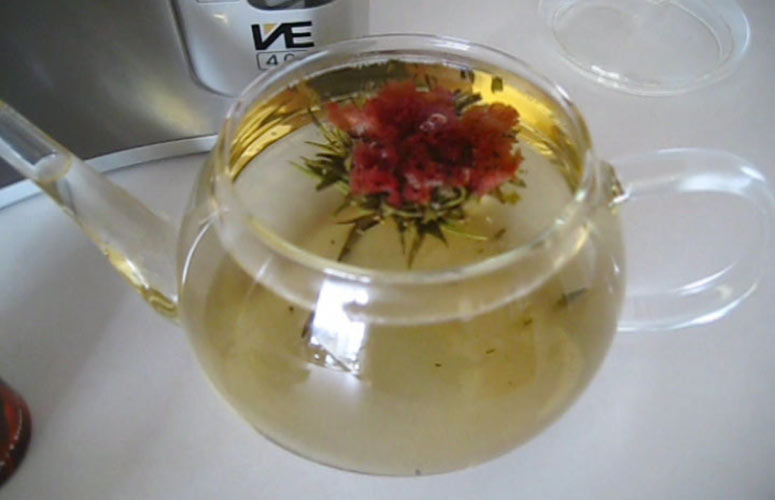 Ancient Blooming Tea - Video Demo