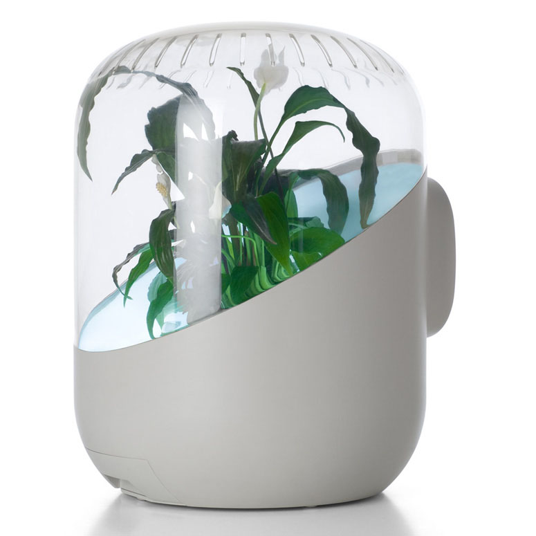 Andrea - Plant-Powered Air Purifier